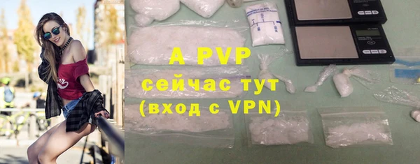 ГАЛЛЮЦИНОГЕННЫЕ ГРИБЫ Лихославль