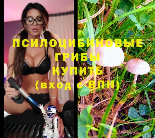 ГАЛЛЮЦИНОГЕННЫЕ ГРИБЫ Лихославль
