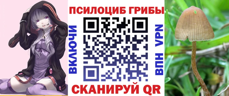 Галлюциногенные грибы Psilocybine cubensis  сколько стоит  Шенкурск 